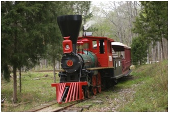 train